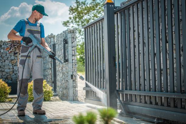 Best Soft Washing  in Rolla, ND