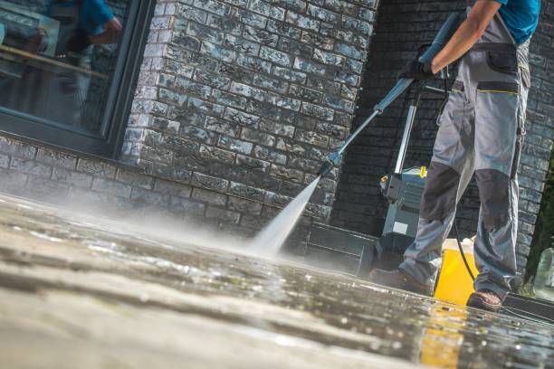 Best Driveway Pressure Washing  in Rolla, ND