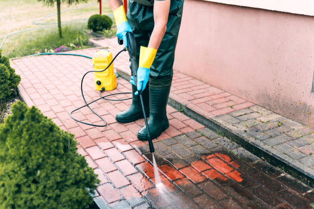 Best Factory Floor Cleaning  in Rolla, ND
