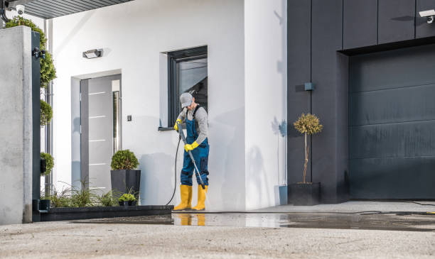 Best Spring Cleaning  in Rolla, ND