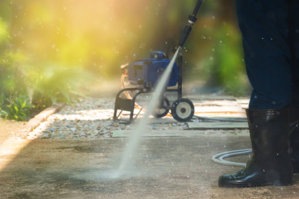 Best Solar Panel Cleaning  in Rolla, ND