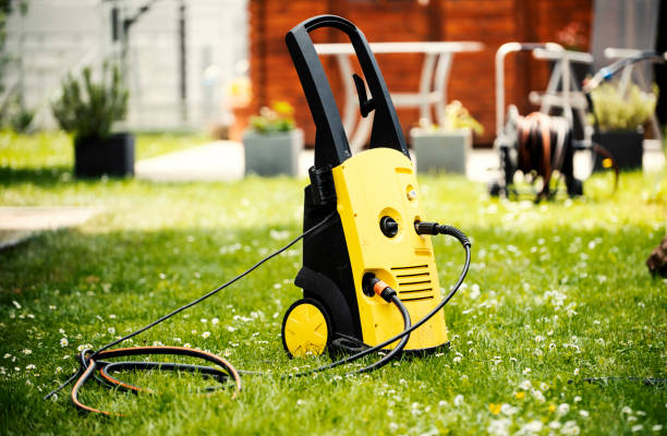 Best Pre-Holiday Cleaning  in Rolla, ND